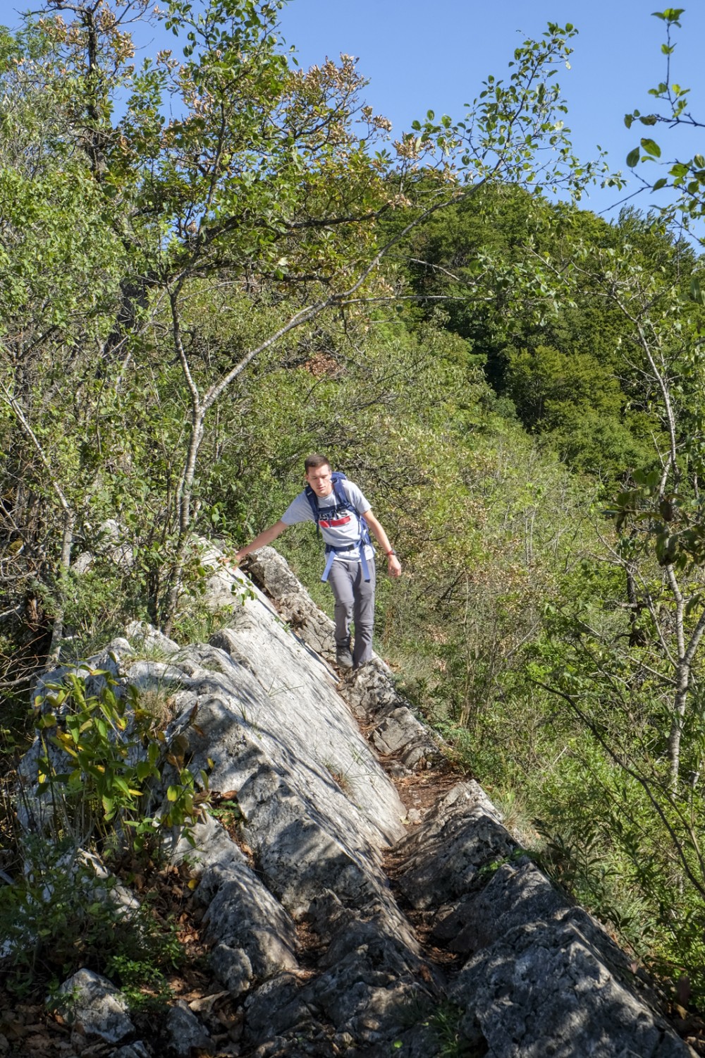 Un sentier étroit suit la crête sur toute sa longueur. Photo: Elsbeth Flüeler