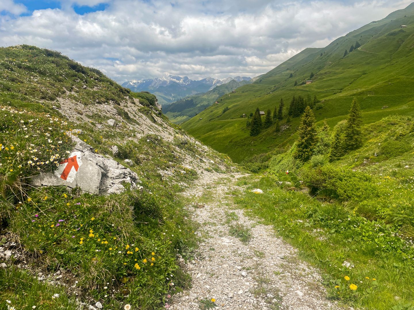 Entlang des Alpbach geht es hinunter ins Tal.