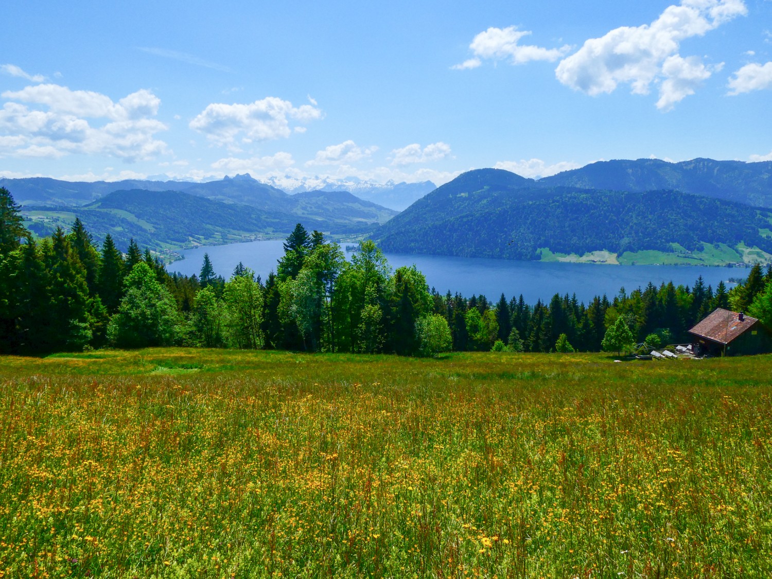 Malerische Aussicht auf den Ägerisee.
Bild: Rémy Kappeler