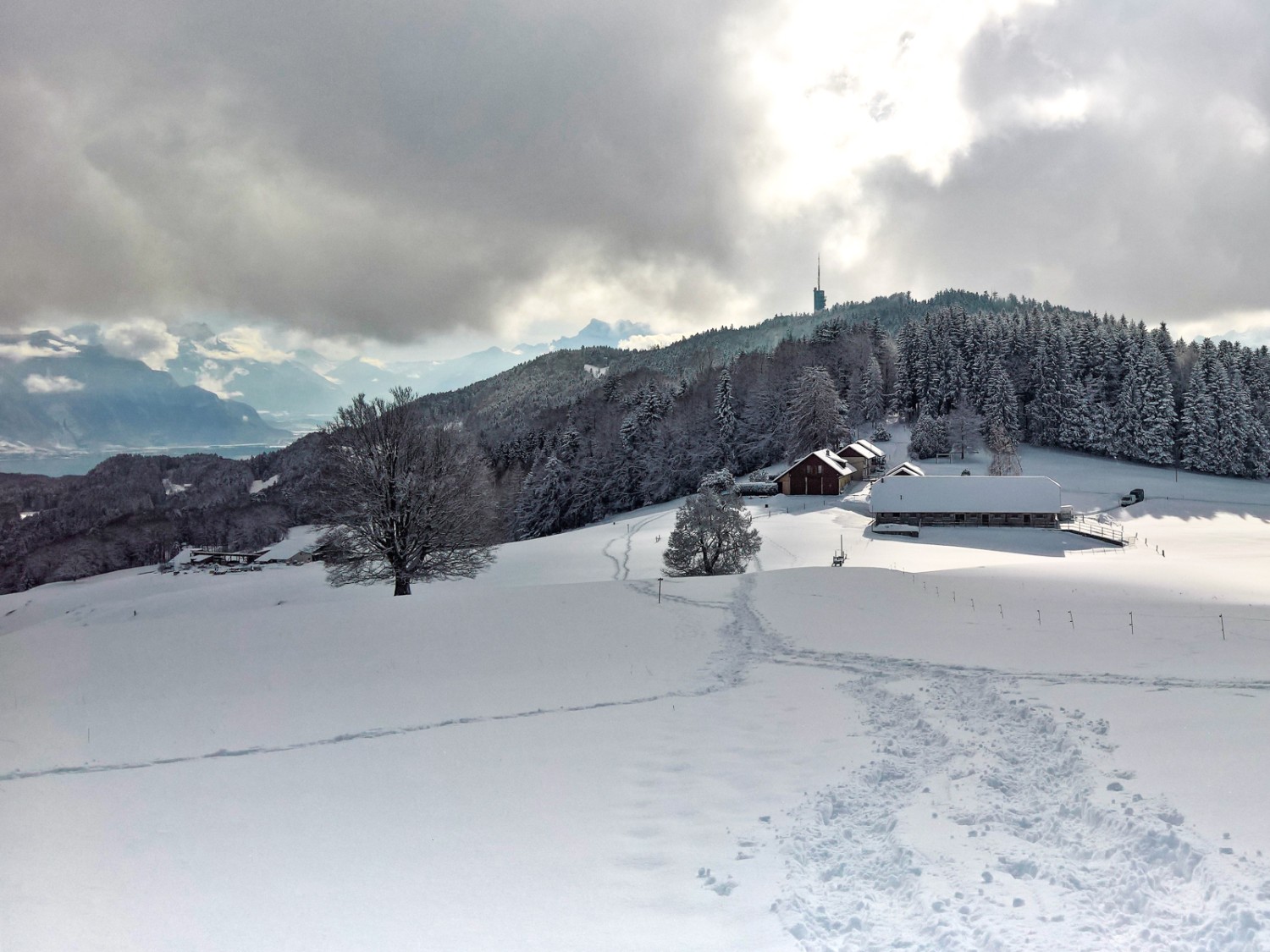 Ausblick vom Mont Chesau nach Süden hinüber zum Mont Pèlerin. Bild: Andreas Staeger