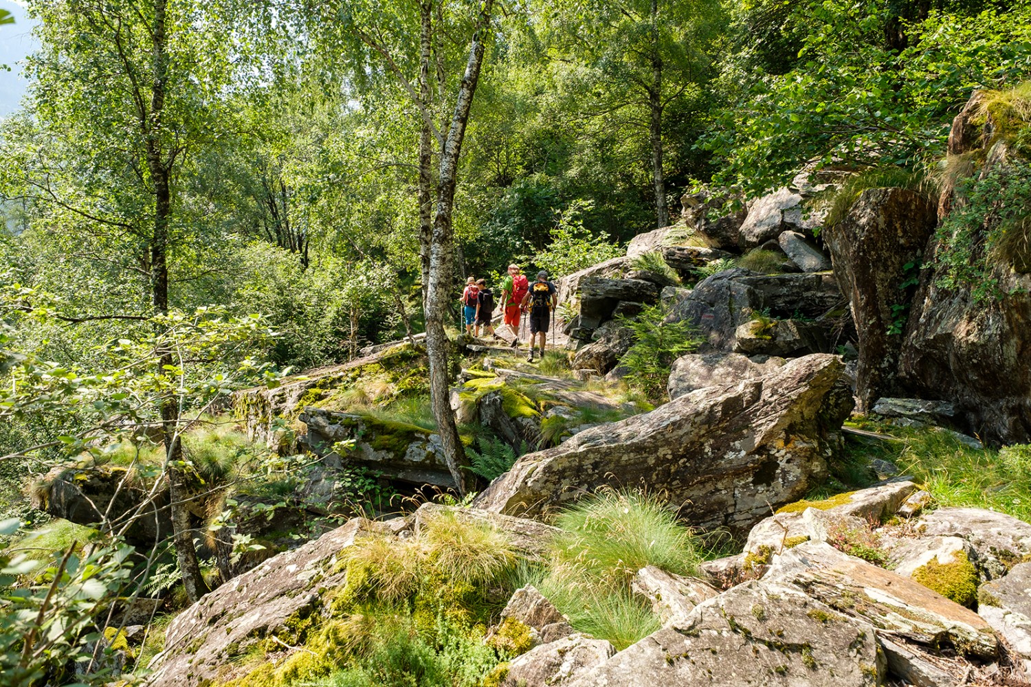 Lauschig führt die Wanderung auf alten Pfaden von Landarenca ins Tal hinunter.