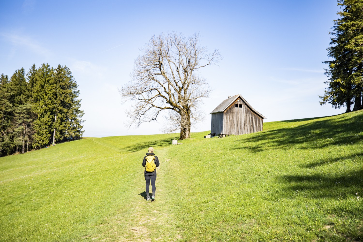 Typisch Appenzell: Wandern über Felder und Hügel. Bild: Wanderblondies