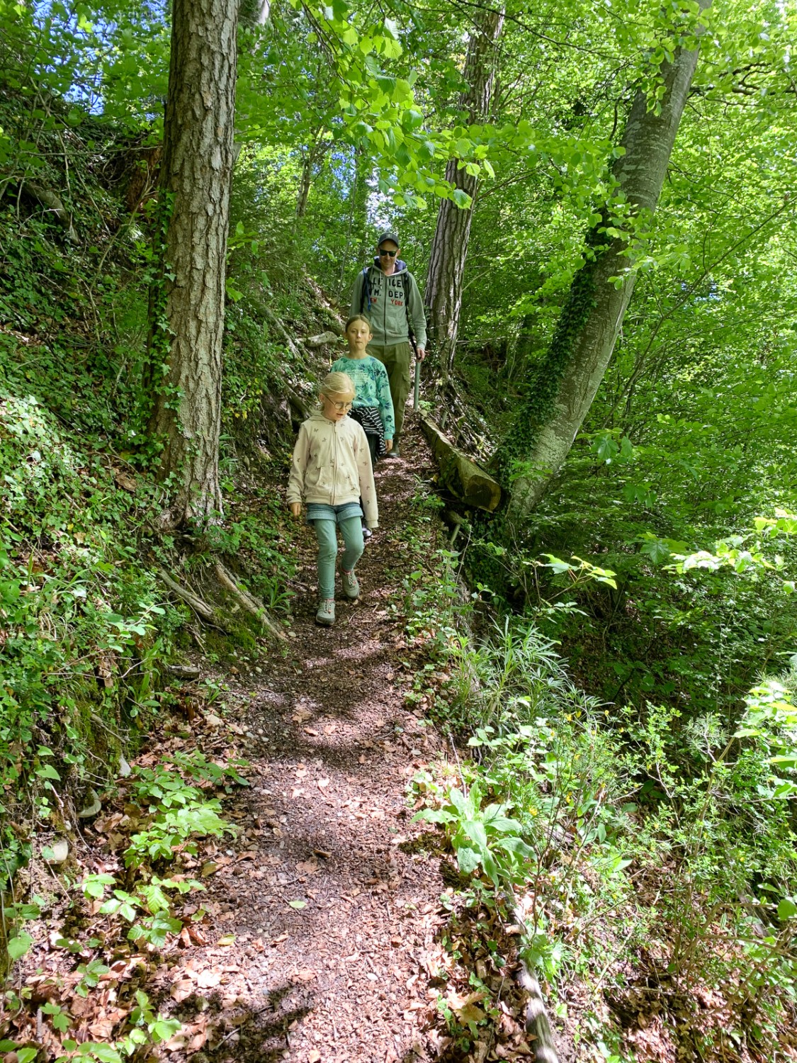 Ein kurzer, steiler Abstieg auf einem schmalen Pfad – und schon ist man beim Kloster Hauterive angelangt. Bild: Monika Leuenberger