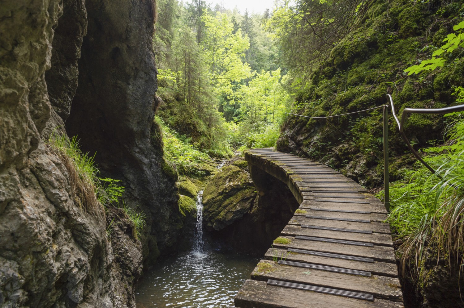 Ganz oben überquert man die Schlucht über einen Steg. Photo: Raja Läubli