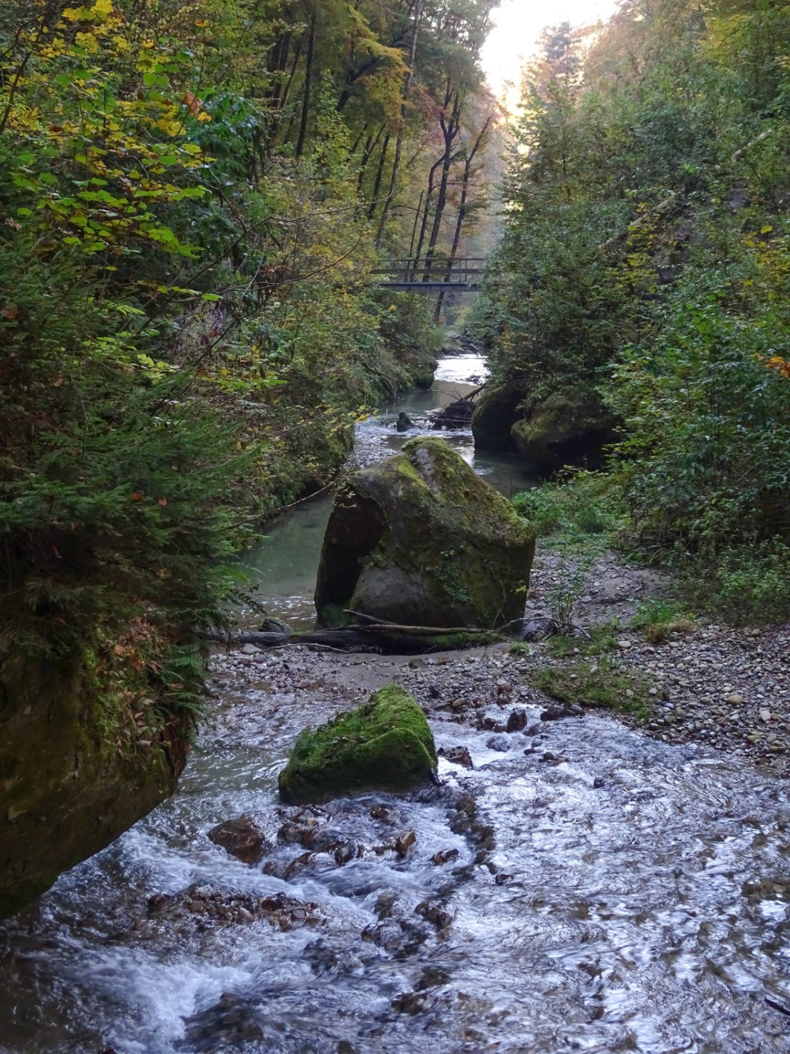 Riesige Felsblöcke ruhen unverrückbar im Galterenbach.