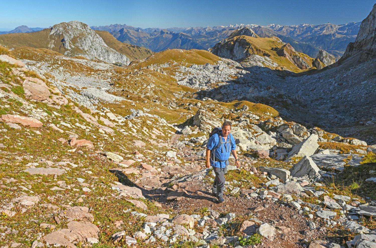 Der Blick vom Chablais in die Berge ist weit. Hier die Sicht auf die Dents du Midi. Bild: natur-welten.ch