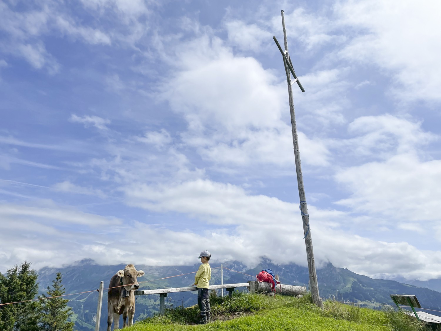 Au point culminant de la randonnée, près de Gummen. Photo: Rémy Kappeler