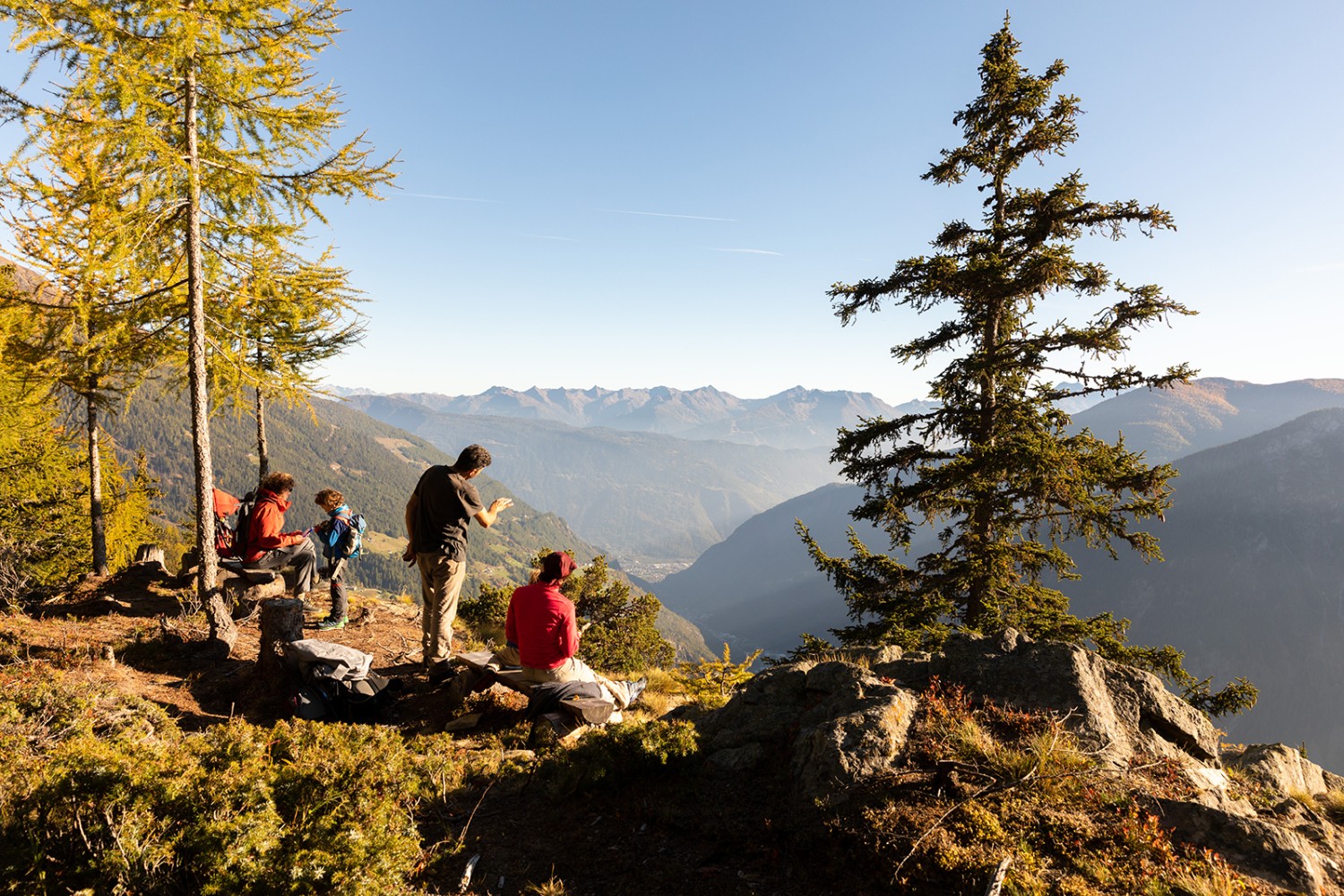 Am höchsten Punkt des Köhlerwegs belohnt der Blick Richtung Tirano die Wanderer. Bild: Severin Nowacki