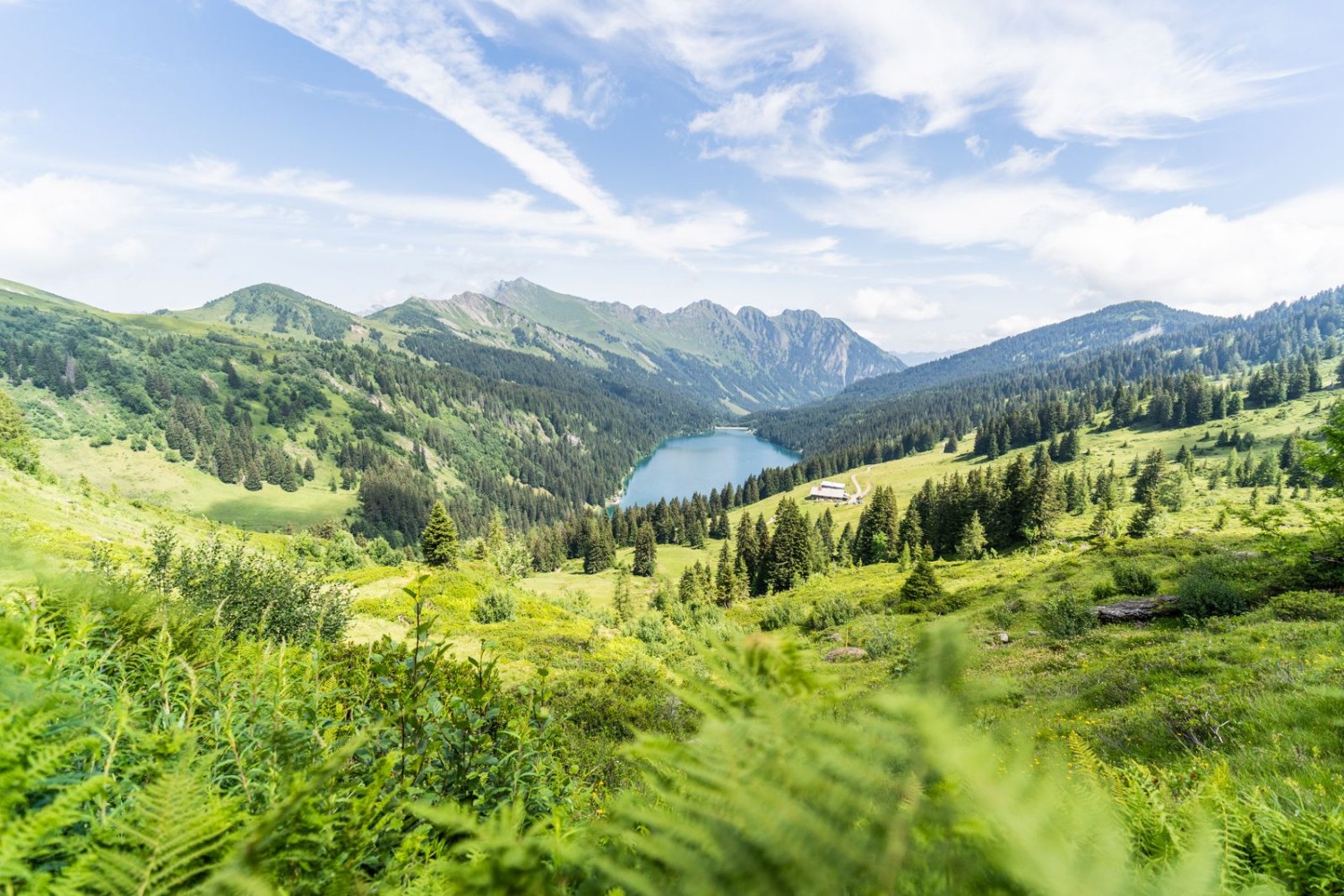 Première vue plongeante sur le lac d’Arnon, un joyau bleu dans un écrin vert.