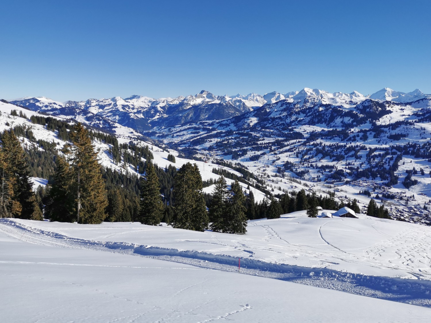 Ausblick vom Rellerligrat ins Saanenland. Bild: Andreas Staeger