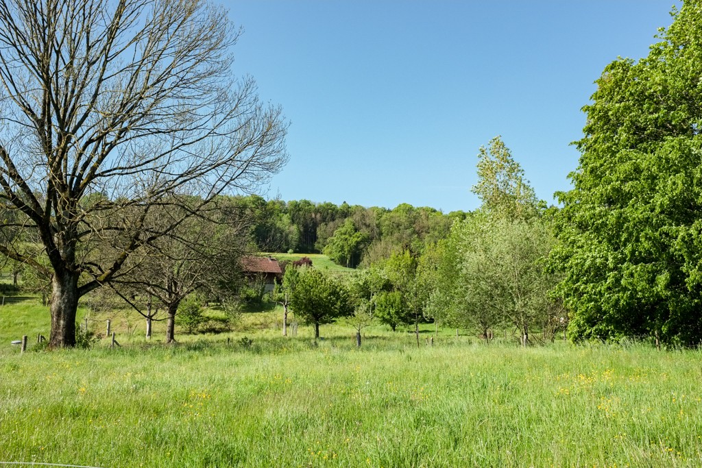 Idylle campagnarde dans la périphérie de Stettbach. Photo: Claudia Peter