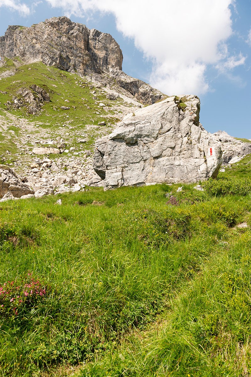 Im Aufstieg auf der Steileralp. Bild: Raja Läubli