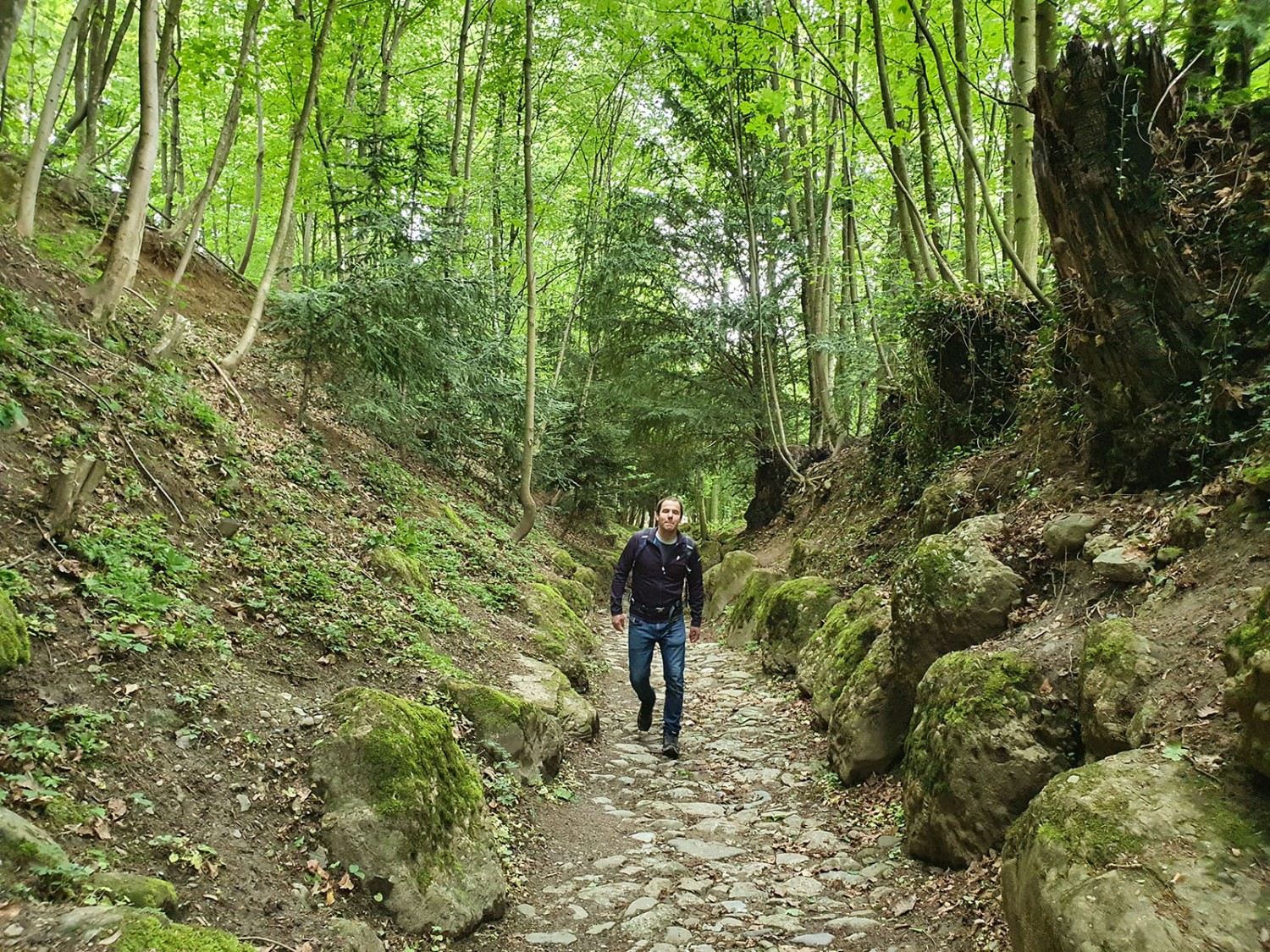 La Hohle Gasse, ou Chemin creux: le beau point final de la randonnée. Photo: Marina Bolzli