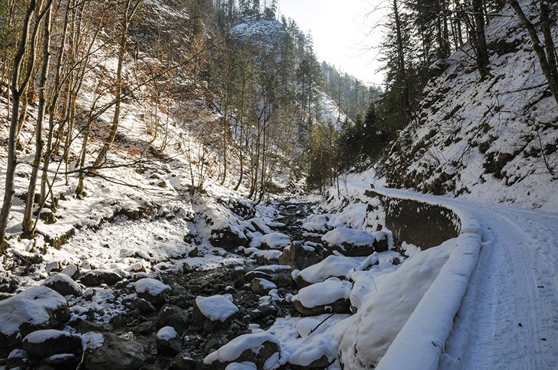 Es geht immer dem Wasser entlang.
Bild: Franz Müller