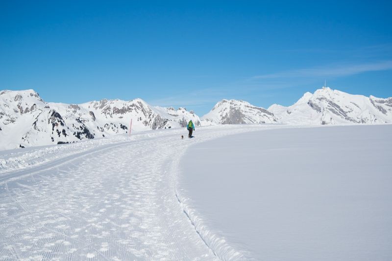 Belle vue sur le Säntis depuis le haut plateau, d’où l’on retourne à l’Alp Sellamatt