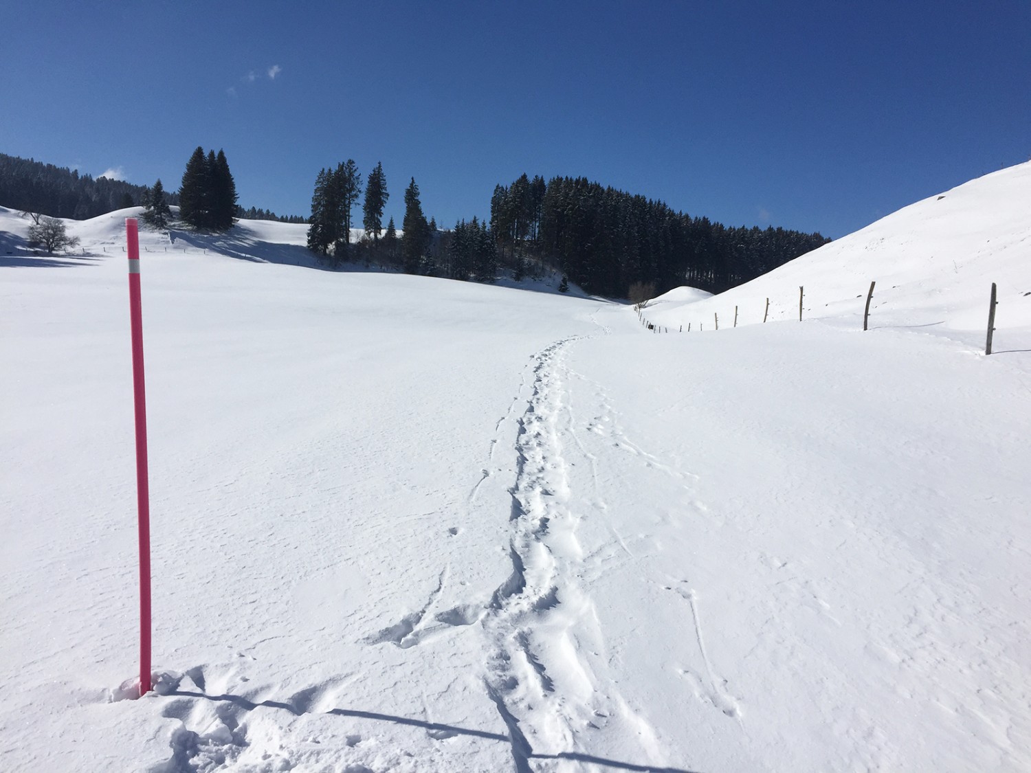 Un agréable chemin jusqu’au Mont des Cerfs.