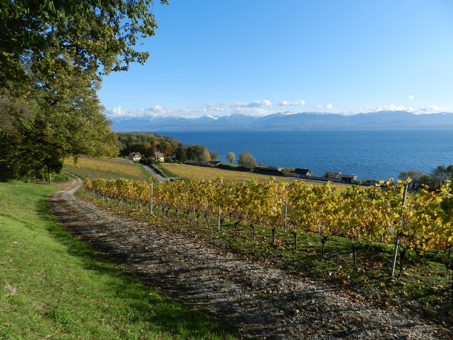 Vue automnale sur le lac Léman et les Alpes.