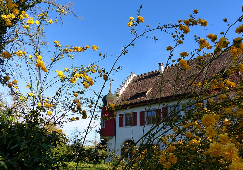 In der Eisenbibliothek im Klarissenkloster befindet sich die wohl kompletteste Sammlung der Welt zum Thema Eisen- und Metallverarbeitung. Bild: Eisenbibliothek