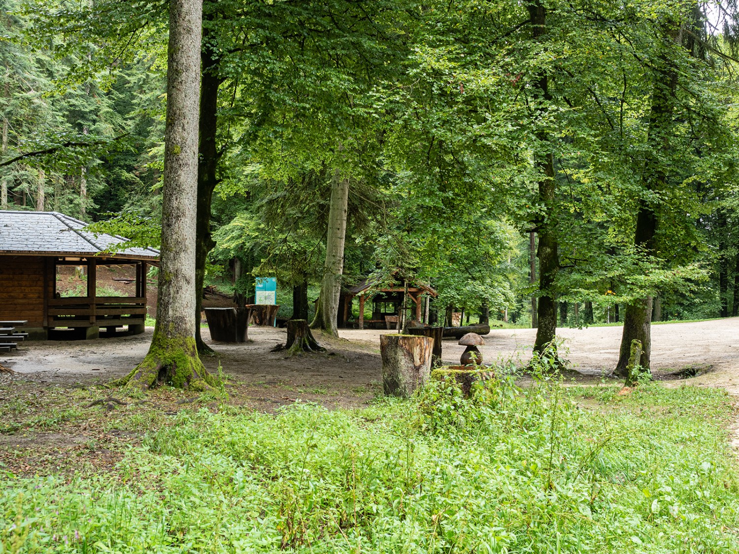 Beim grosszügigen Picknickplatz Sädelbachhüttli. Bilder: Barbara Graber