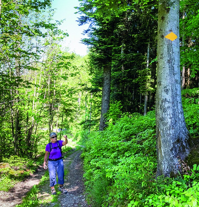 Ruth Scherrer contrôle régulièrement 40 km de chemin de randonnée dans la région de Thurgovie.