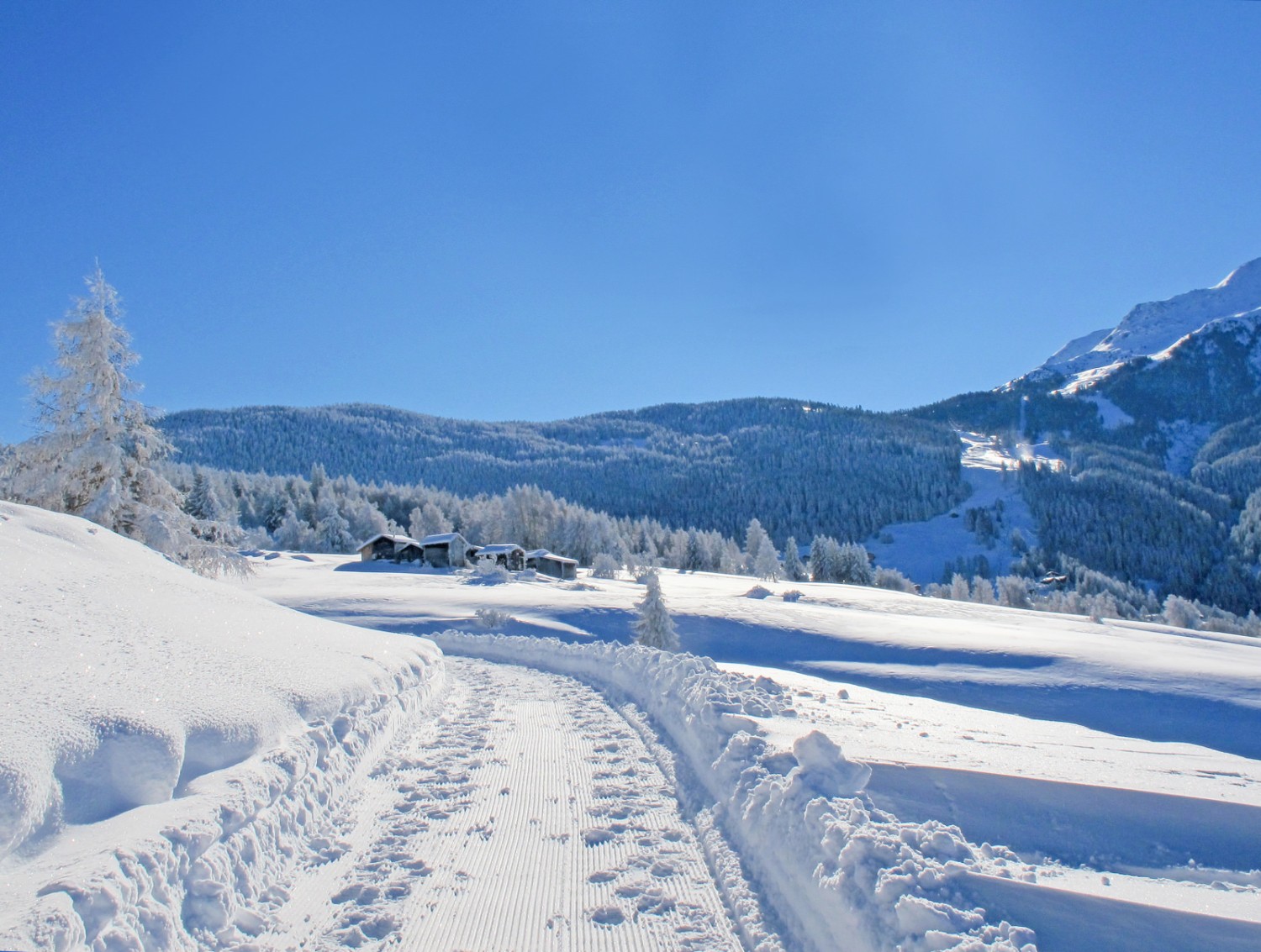 La marche à travers ce haut-plateau enneigé et silencieux est un vrai plaisir. Photo: Bürchen Unterbäch Tourismus