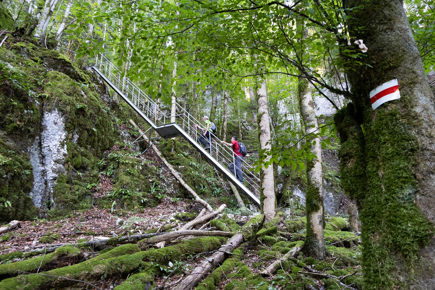 Leitern und Treppen vereinfachen den Aufstieg nach Le Noirmont.Bilder: Markus Ruff