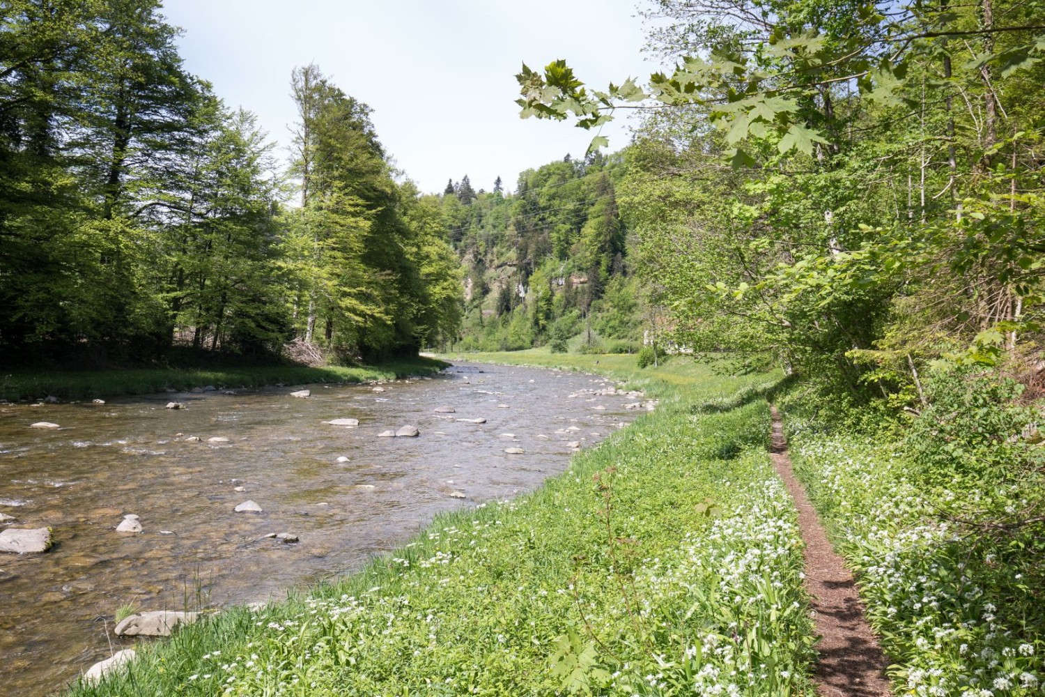 Entre la gare de Sihlbrugg et la forêt Sihlwald, le chemin longe la rivière de très près.