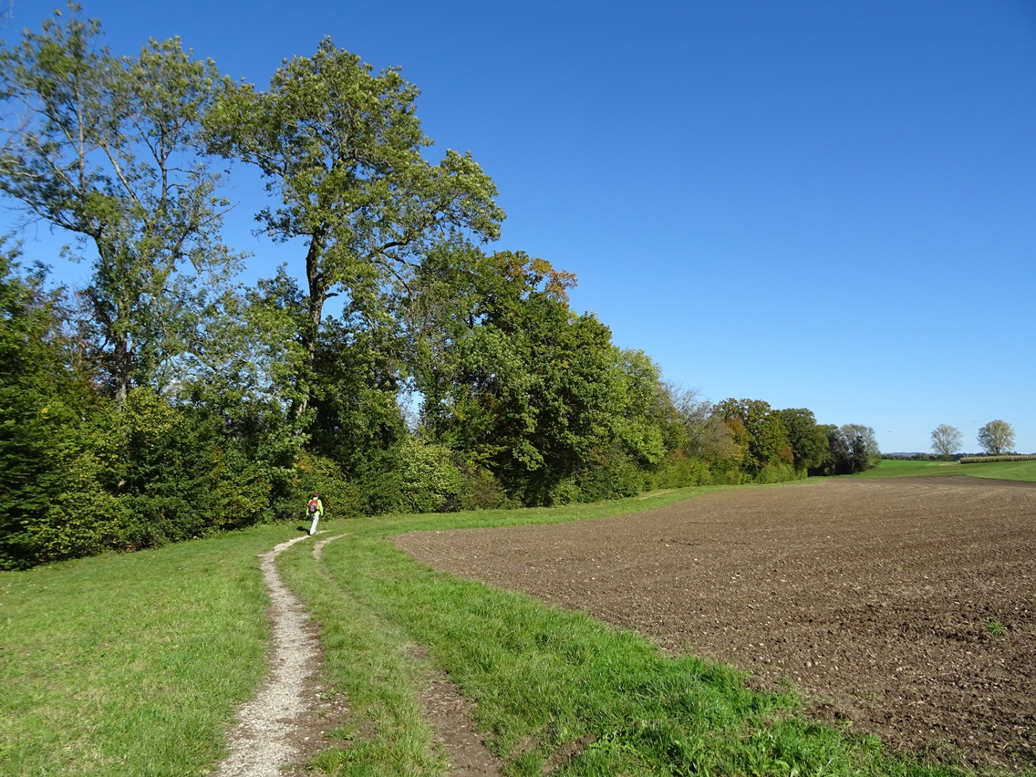 Près d’Oberwynau, un joli chemin riverain longe l’Aar.
Photos : Sabine Joss