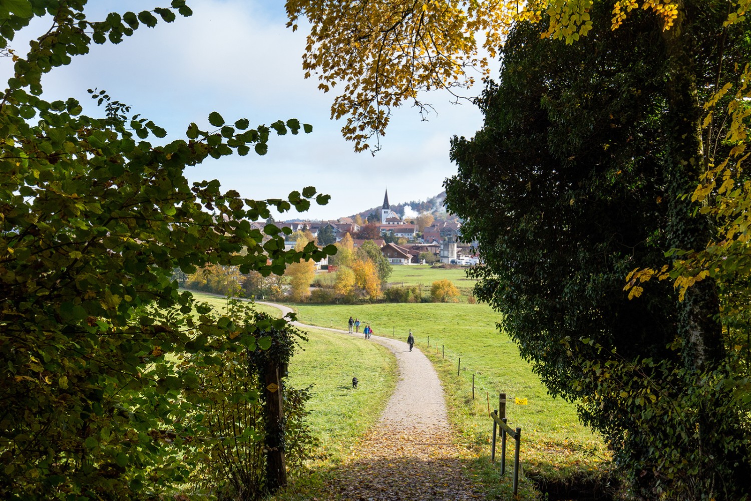 Dem historischen Landstädtchen Elgg entgegen, Ziel oder Start dieser Tour.