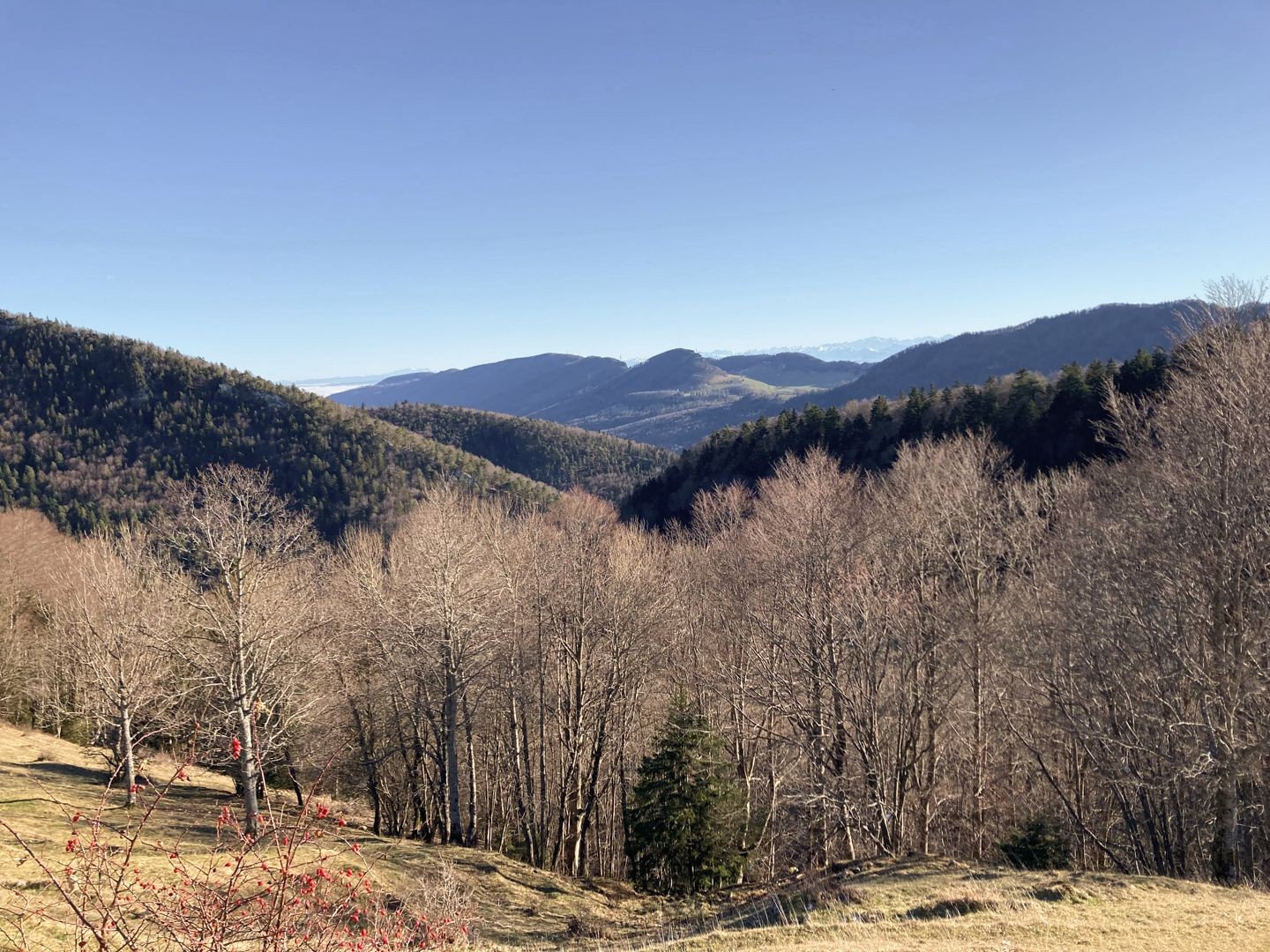 Aussicht Richtung Alpen bei Hinter Brandberg.