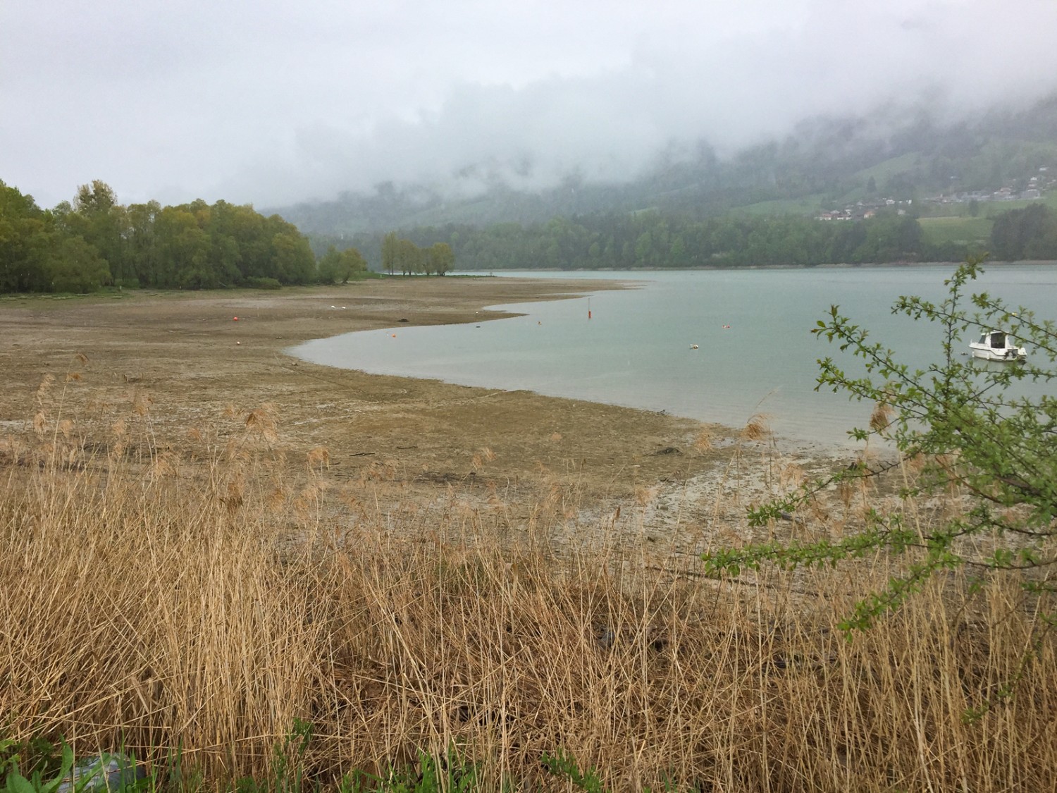 Vue depuis le Bois des Crêts sur Les Laviaux, où l’on a le droit de se baigner. Photo: Rémy Kappeler