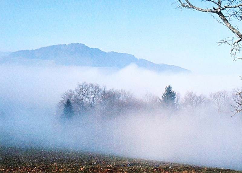 Freundlich und leicht mystisch liegt die Freiburger Winterlandschaft vor einem