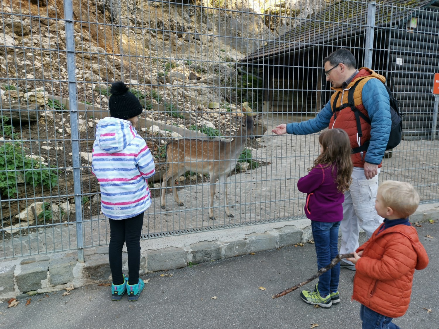 Tout près des daims et d’autres animaux sauvages. Photo: Evelyne Zaugg