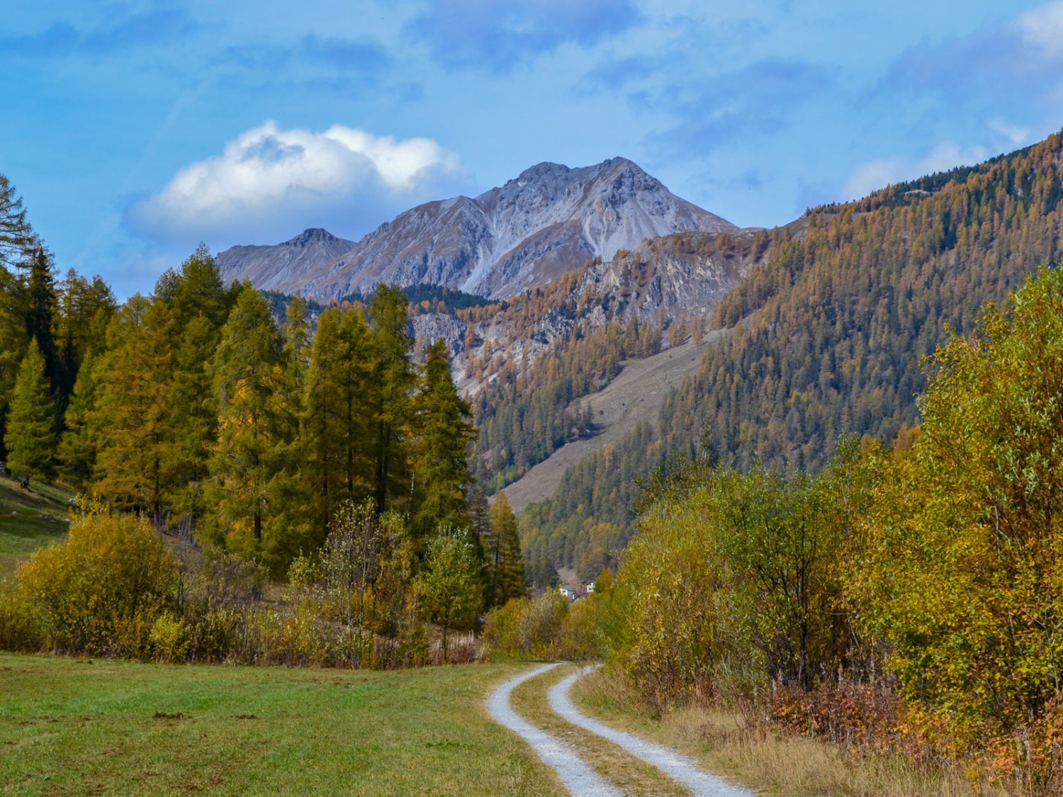 Sulla strada tra Tschierv e Fuldera. Immagine: Sabine Joss