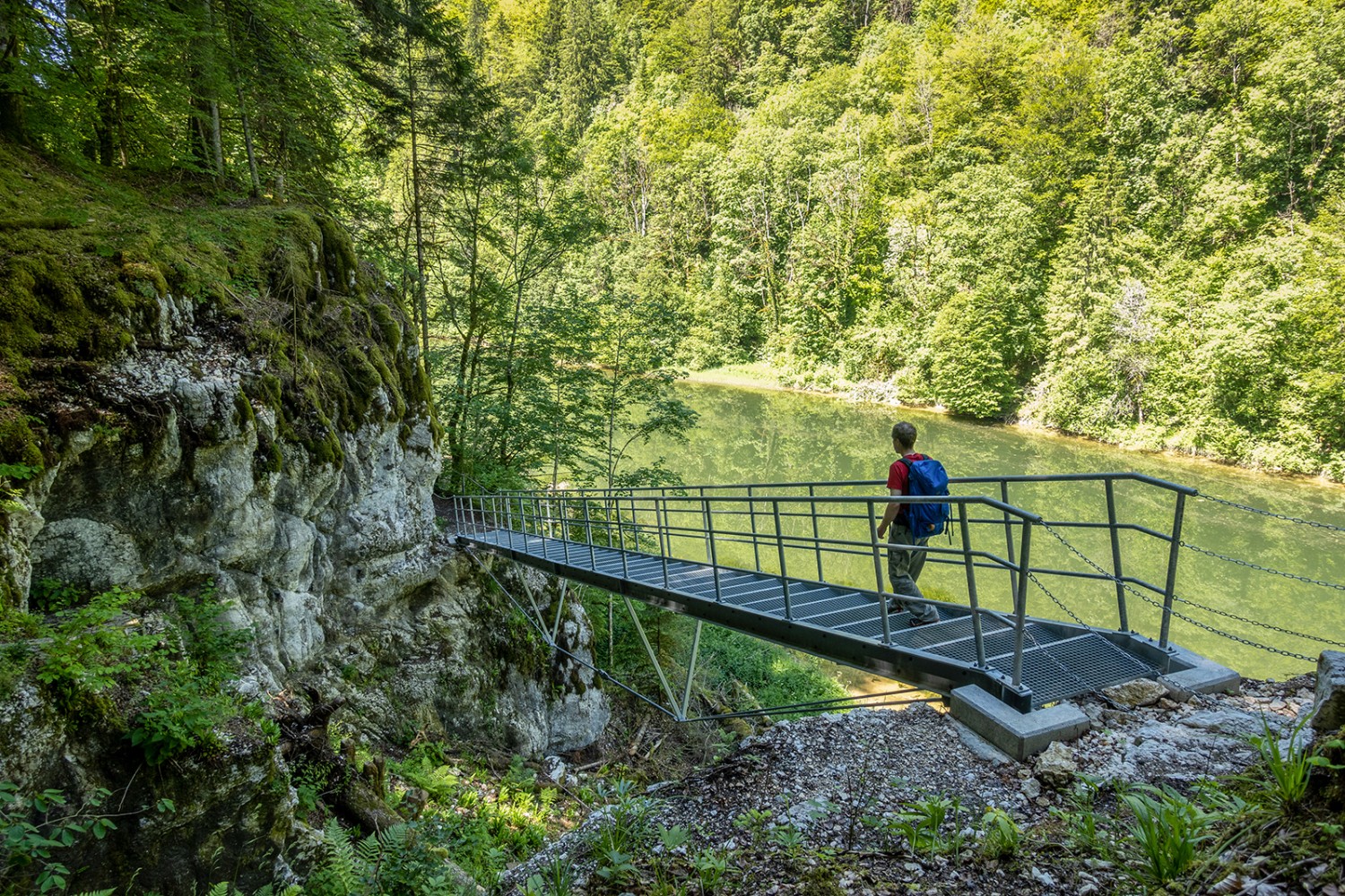 La nouvelle passerelle longe le Doubs et franchit une gorge là où le chemin était mis à mal par l’érosion.  Photo: Fredy Joss