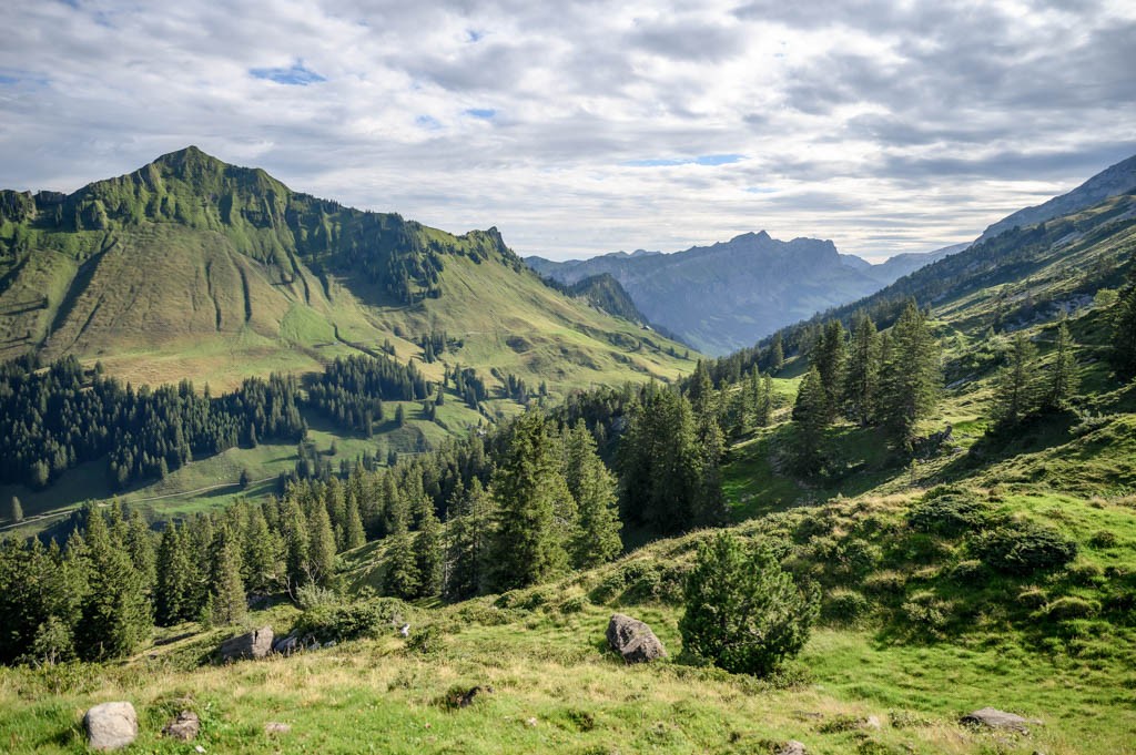 Die Bergwanderung ist abwechslungsreich; Fels, aber auch offene Passagen und Waldstücke. Bild: Jon Guler