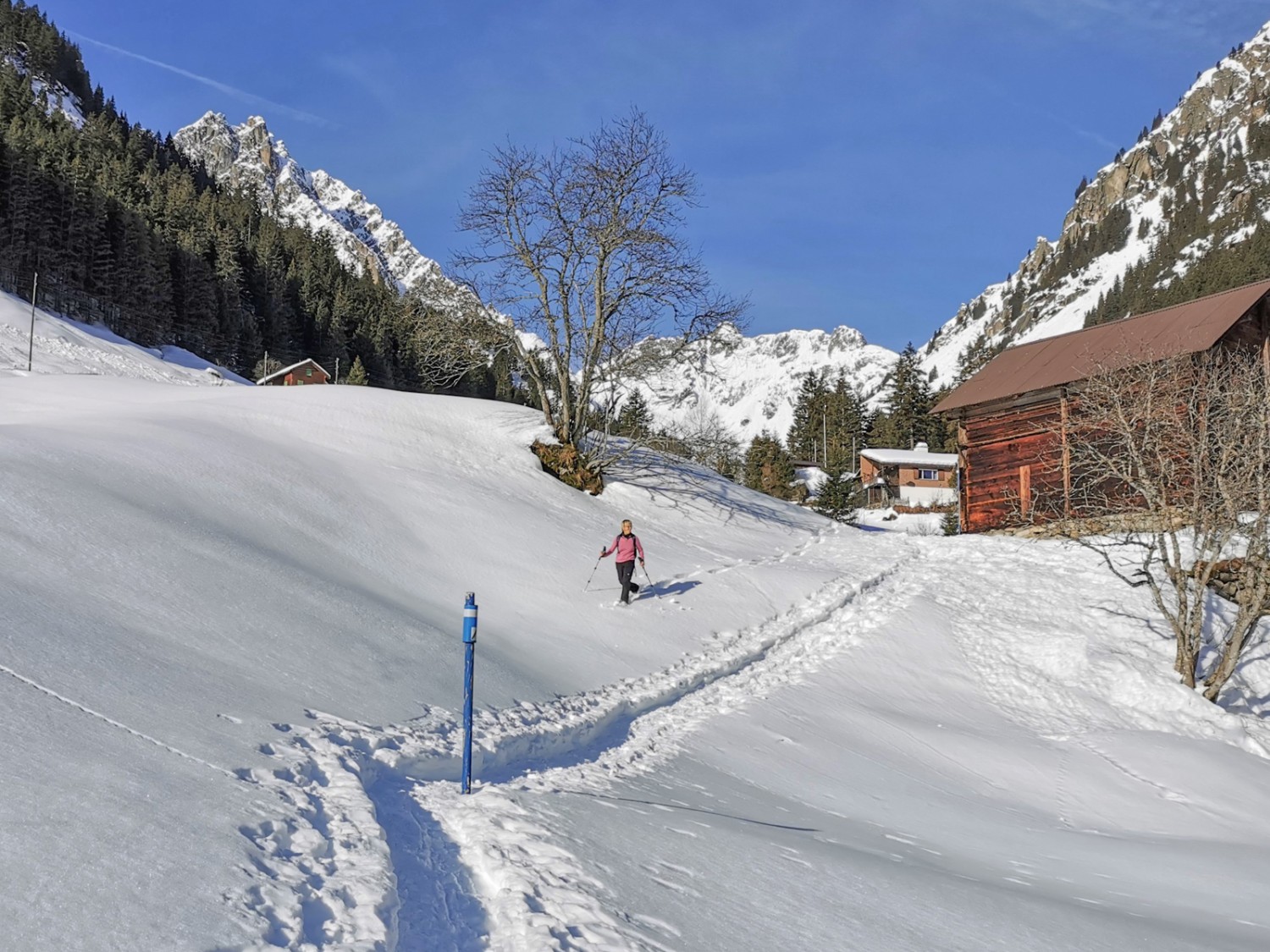 Diessenbrunnen. Bild: Andreas Staeger