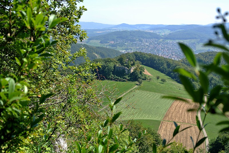 A la Schauenbergflue, un beau panorama se dévoile entre les arbres et les arbustes. Photos: Rémy Kappeler