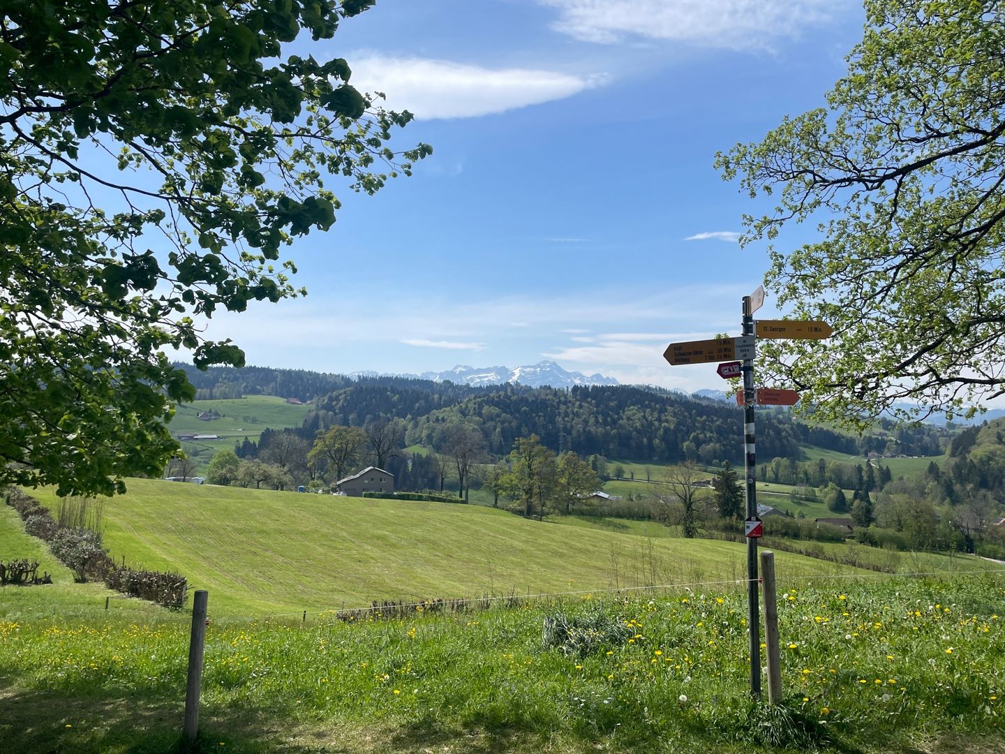 Panorama au Freudenberg, avec le Säntis qui se dresse à l’horizon.