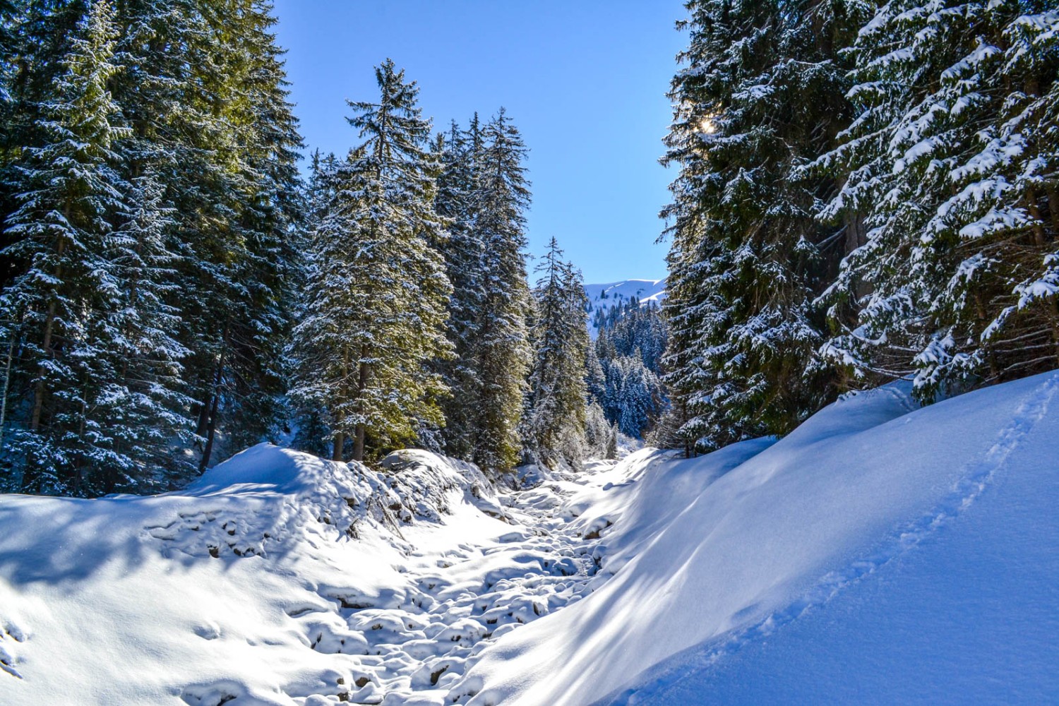 Idyllique: un ruisseau au lit recouvert de neige au-dessus de Schönenbode.
Photo: Sabine Joss