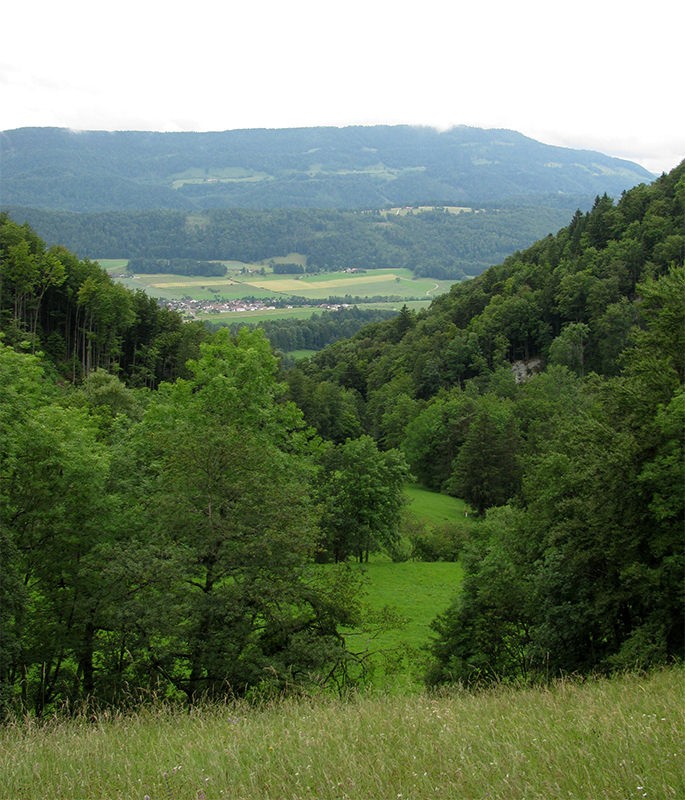 Blick über die Kantonsgrenze vom solothurnischen Nieder Fringeli ins jurassische Corban.