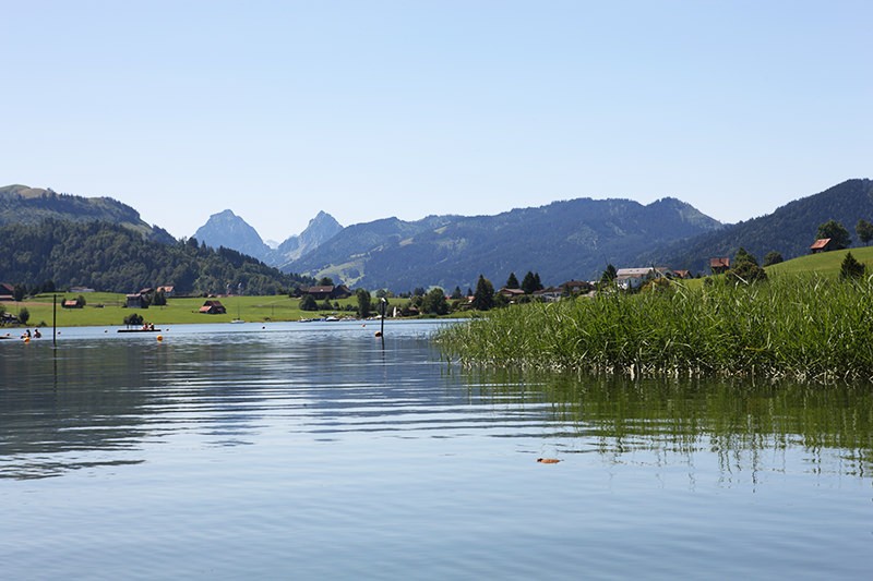 Bordé de roseaux, le sentier suit les rives du Sihlsee jusqu’au restaurant avec jardin Roblosen. Photo: Einsiedeln Tourismus