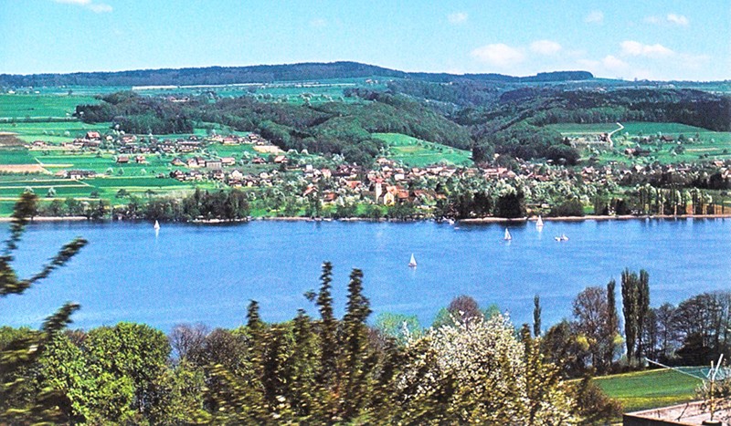 Natureindrücke am Westufer des Hallwilersees.      Bild: Franz Auf der Maur