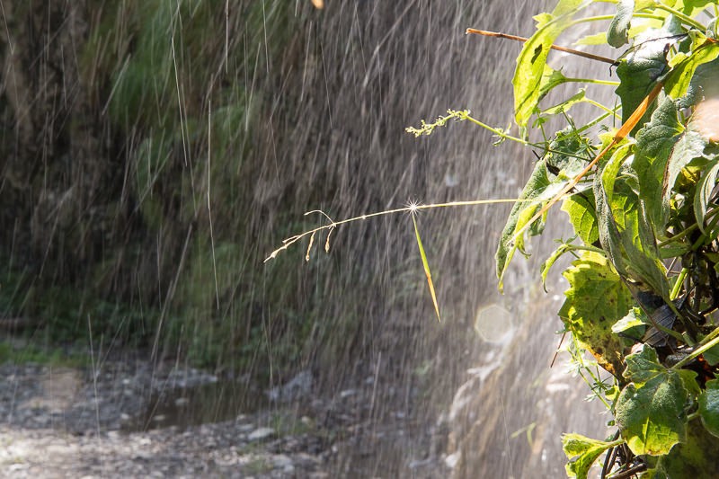 Überall stösst man auf Wasser - erfrischend an einem Sommertag. Bild: Randy Schmieder