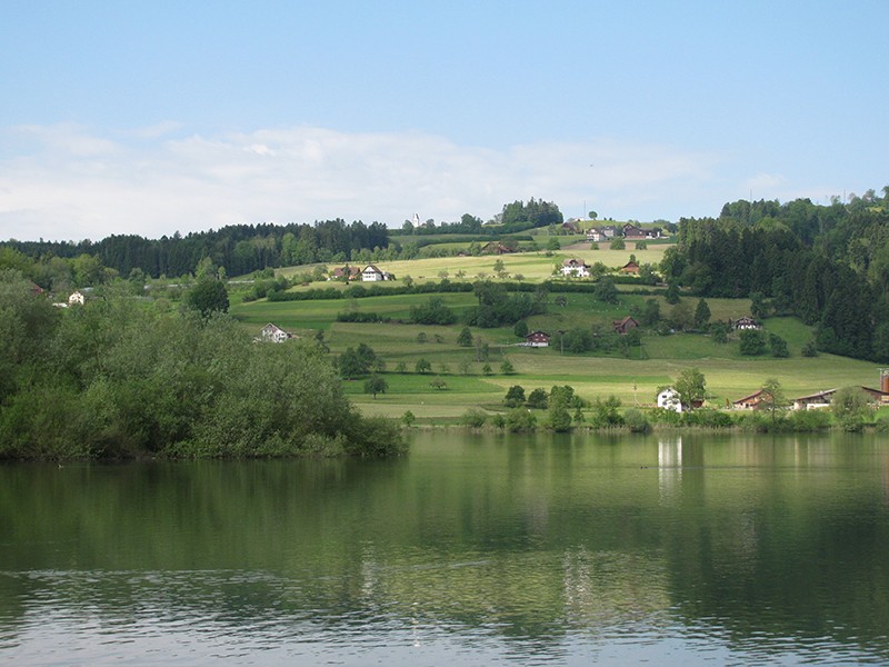 Am Seeufer bei Baldegg erblickt man in der Ferne den Kirchturm von Römerswil. Bild: Andreas Staeger