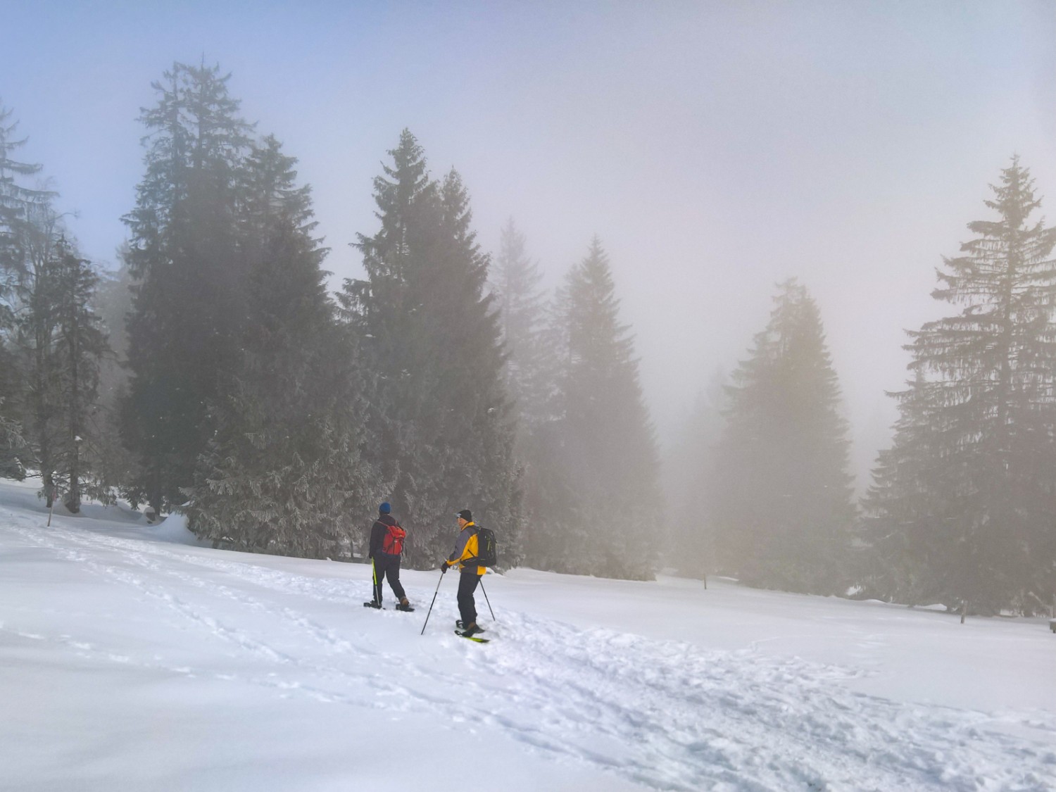 Sur le Mont-Soleil, vous trouverez tout un réseau d'itinéraires raquettes. Photo: Andreas Staeger