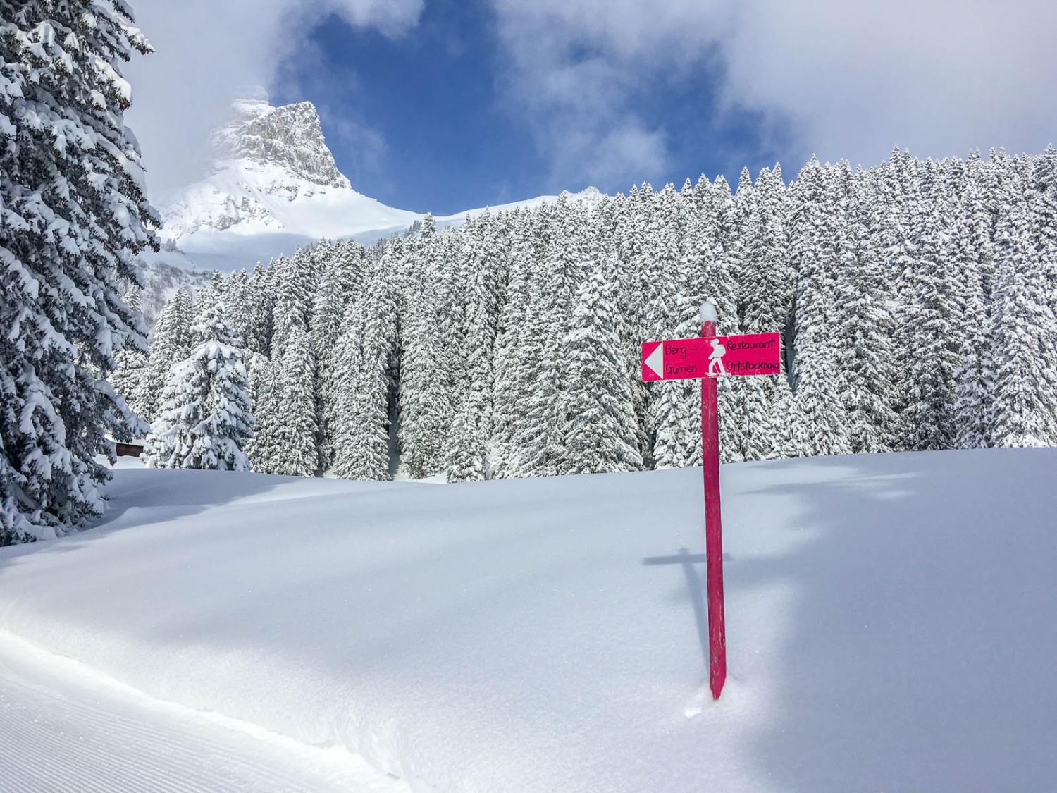 Le chemin de randonnée hivernale est bien balisé. Photo: Claudia Peter