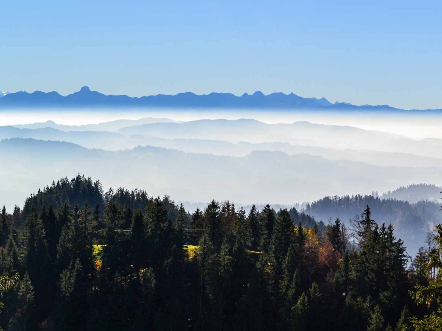 La chaîne du Stockhorn au-dessus de la mer de brouillard. Photo: Sabine Joss