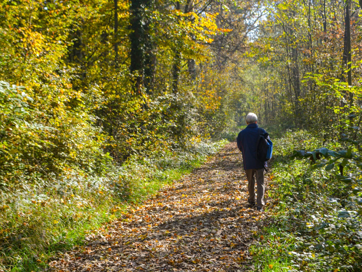 Chemin forestier automnal le long de la Thur. Photo: Werner Nef