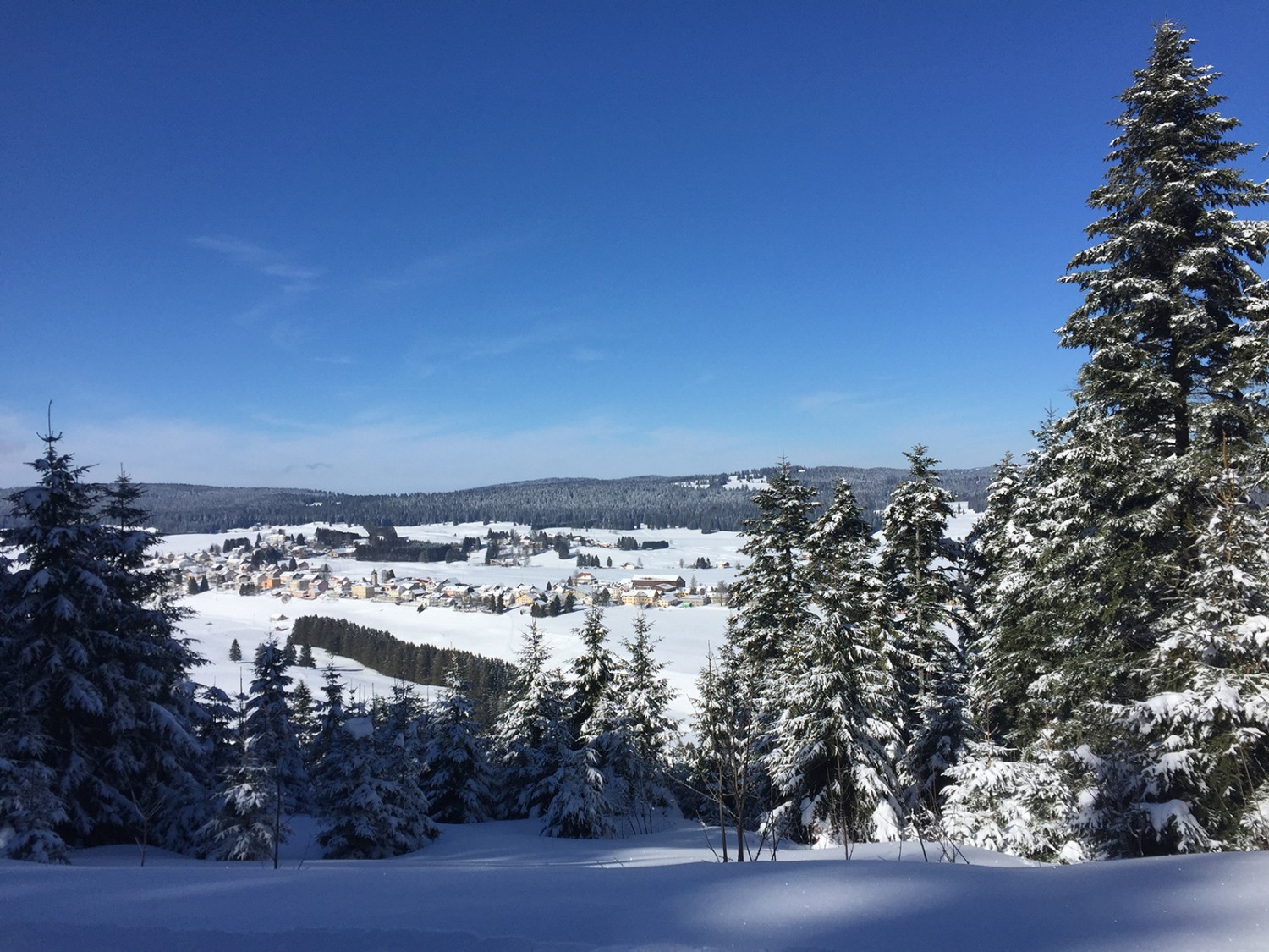 Aussicht auf L’Auberson. Dahinter die weiten Wälder des französischen Juras. Bilder: Rémy Kappeler